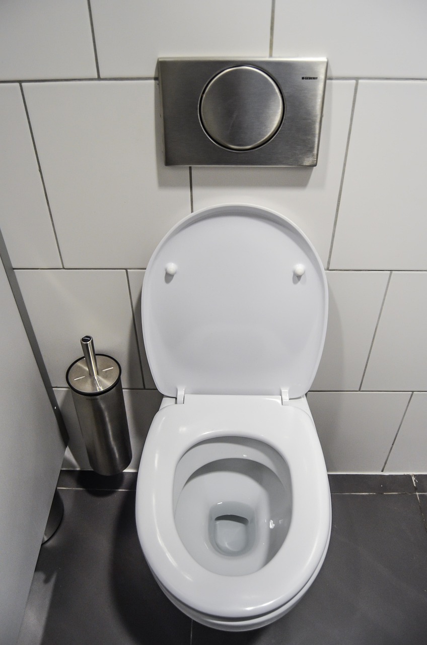 ふたを開けた洋式トイレとブラシ